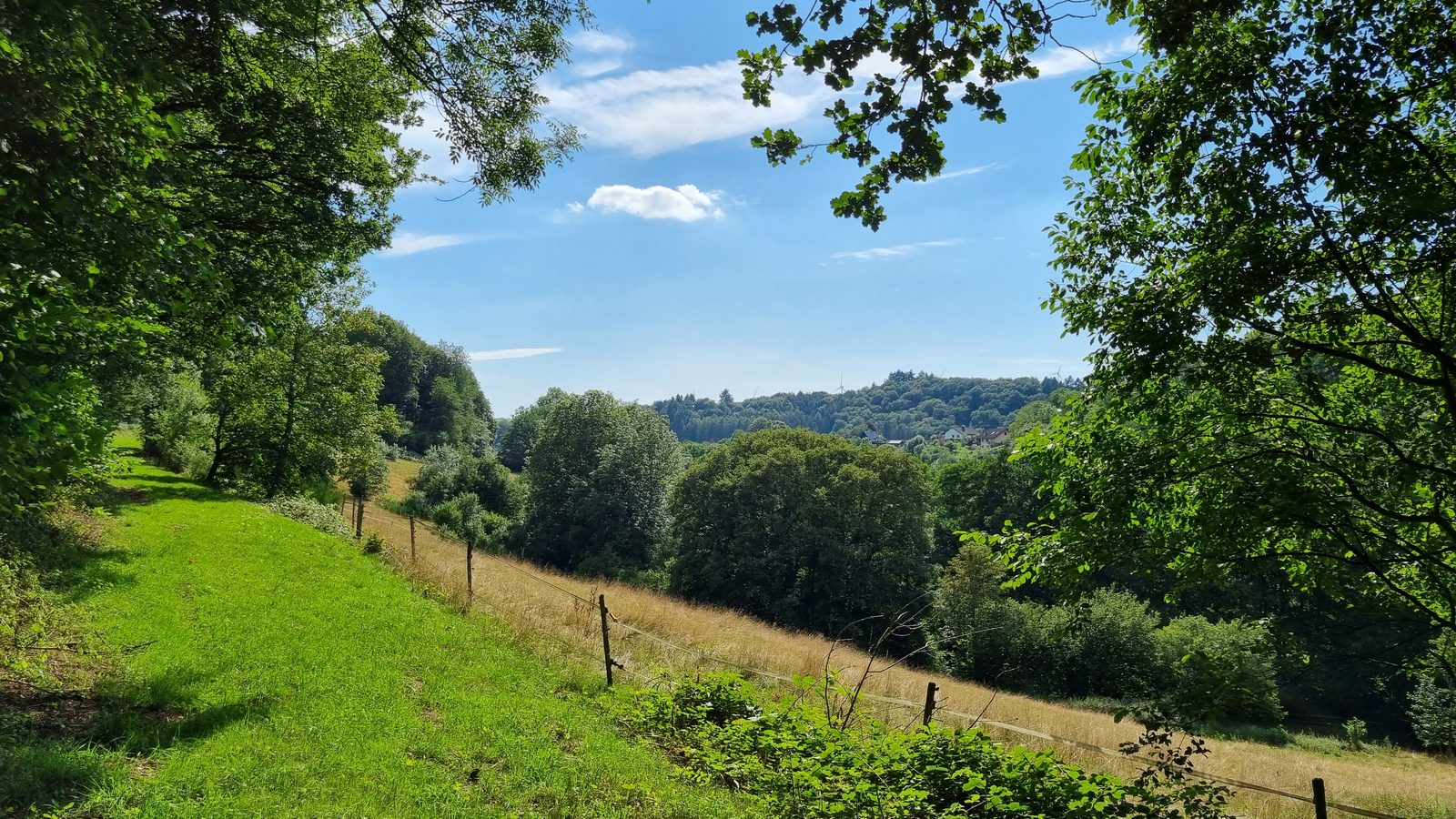 Groene heuvels in de Eifel