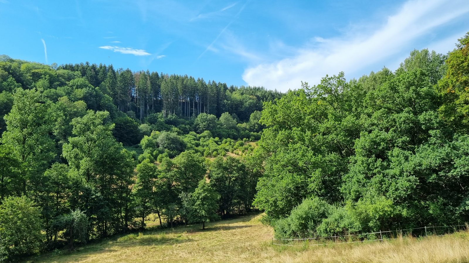 Natuur in de omgeving van Seffern